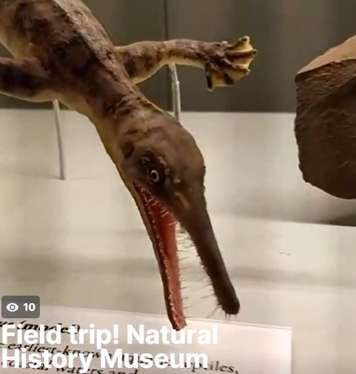 A prehistoric creature with open jaws and spikey teeth